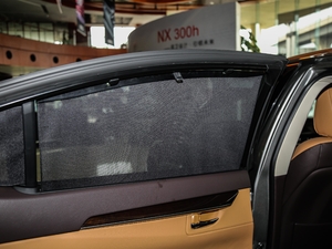 2017250 Mark LevinsonA g