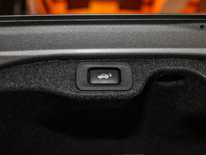 2017250 Mark LevinsonA g