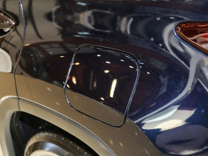 2017450h Mark Levinson A (ji)^