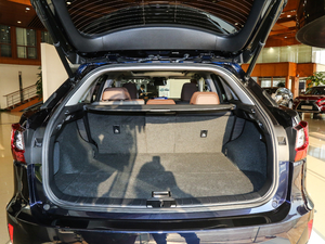 2017450h Mark Levinson (q)A g