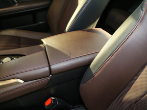 2017450h Mark Levinson (q)A 