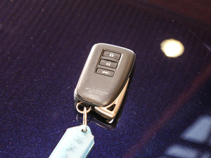 2017450h Mark Levinson (q)A ܇(ch)耳