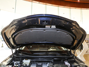 2017450h Mark Levinson (q)A 