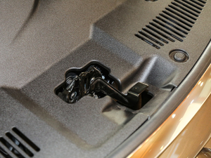 2017450h Mark Levinson (q)A 