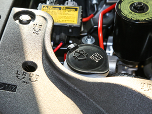 2017450h Mark Levinson (q)A 