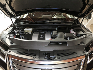 2017450h Mark Levinson (q)A 