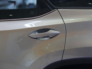 2017450h Mark Levinson A (ji)^