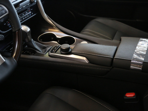 2017450h Mark Levinson A g