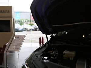 2017450h Mark Levinson (q)A 