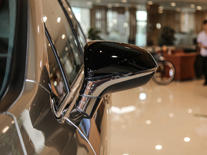 2017300 Mark Levinson F SPORT V ҕR