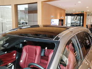 2017300 Mark Levinson F SPORT V ܇