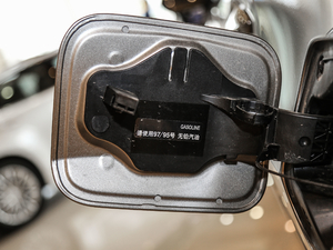 2017300 Mark Levinson F SPORT V ^