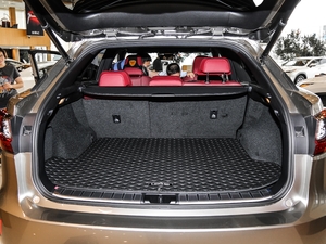 2017300 Mark Levinson (q)F SPORT (gu)V g