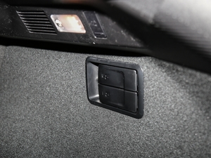 2017300 Mark Levinson F SPORT V g