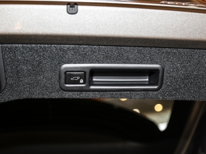 2017300 Mark Levinson F SPORT V g