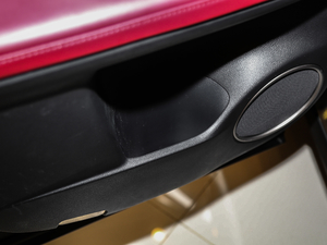 2017300 Mark Levinson F SPORT V g