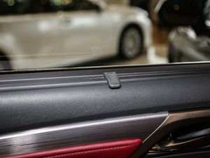 2017300 Mark Levinson F SPORT V g