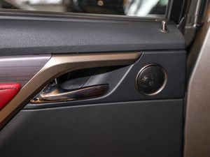 2017300 Mark Levinson F SPORT V g