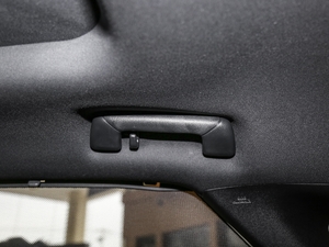 2017300 Mark Levinson (q)F SPORT (gu)V g