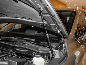 2017300 Mark Levinson (q)F SPORT V 