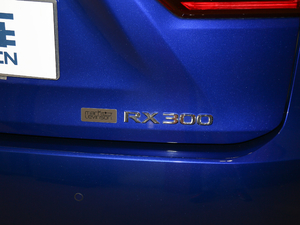 2017300 Mark Levinson F SPORT V ^