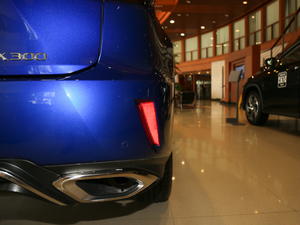 2017300 Mark Levinson F SPORT V ^