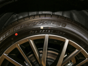 2017300 Mark Levinson F SPORT V ݆̥ߴ