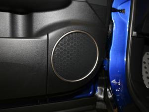 2017300 Mark Levinson F SPORT V g