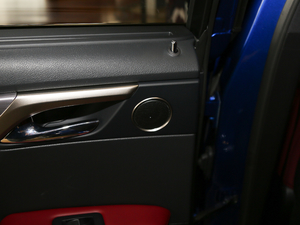 2017300 Mark Levinson (q)F SPORT (gu)V g