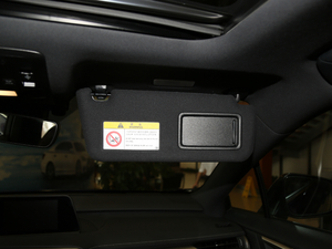 2017300 Mark Levinson (q)F SPORT (gu)V g