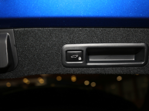 2017300 Mark Levinson (q)F SPORT (gu)V g