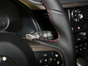 2017300 Mark Levinson F SPORT V п؅^