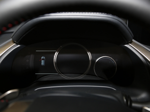 2017300 Mark Levinson F SPORT V x