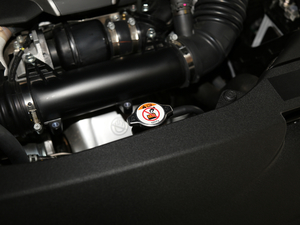 2017300 Mark Levinson F SPORT V 