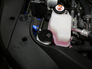 2017300 Mark Levinson F SPORT V 