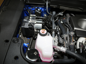 2017300 Mark Levinson F SPORT V 