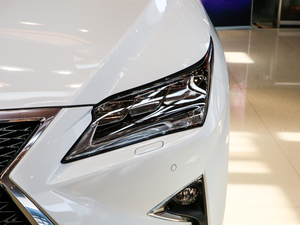 2017300 Mark Levinson F SPORT V 