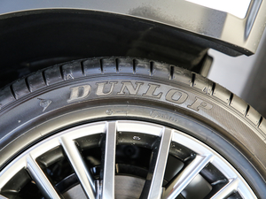 2017300 Mark Levinson F SPORT V ݆̥Ʒ