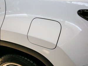 2017300 Mark Levinson F SPORT V ^