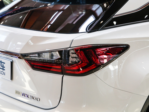 2017300 Mark Levinson F SPORT V ^