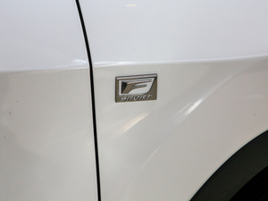 2017300 Mark Levinson F SPORT V ^