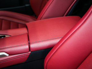 2017300 Mark Levinson F SPORT V 