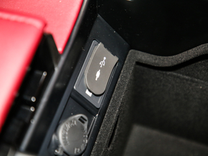 2017300 Mark Levinson F SPORT V g