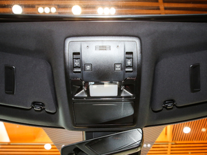 2017300 Mark Levinson (q)F SPORT (gu)V g