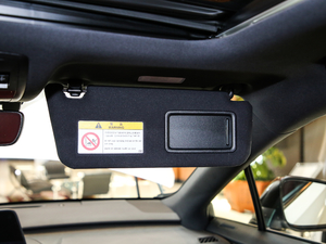 2017300 Mark Levinson (q)F SPORT (gu)V g