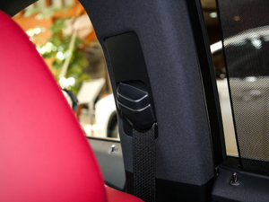 2017300 Mark Levinson F SPORT V g