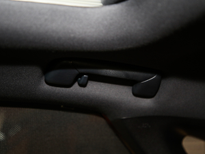 2017300 Mark Levinson F SPORT V g