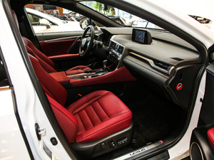 2017300 Mark Levinson F SPORT V g