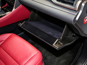 2017300 Mark Levinson F SPORT V 