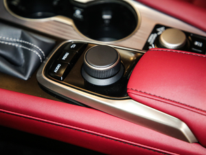 2017300 Mark Levinson F SPORT V п؅^